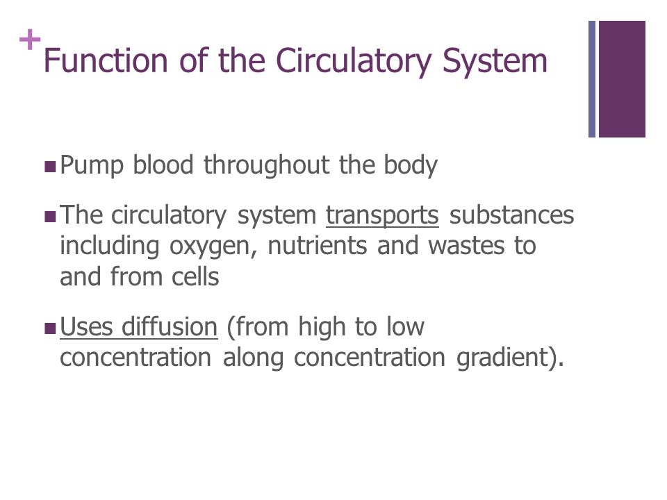 + Function of the Circulatory System Pump blood throughout the body The circulatory system transports substances including oxygen, nutrients and wastes to and from cells Uses diffusion (from high to low concentration along concentration gradient).