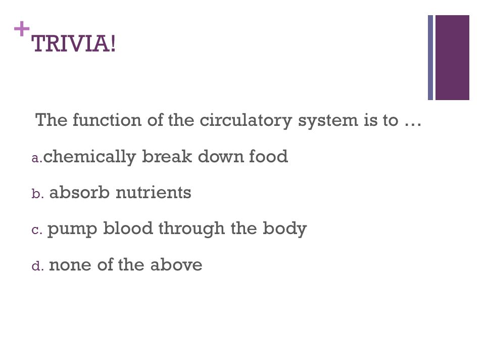 + TRIVIA. The function of the circulatory system is to … a.