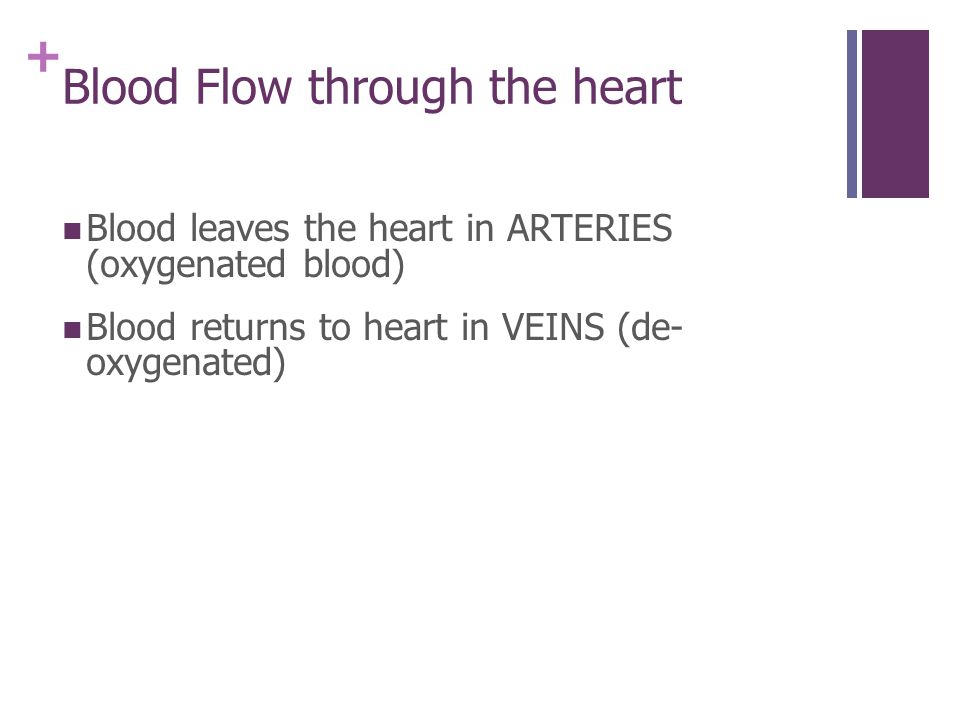 + Blood Flow through the heart Blood leaves the heart in ARTERIES (oxygenated blood) Blood returns to heart in VEINS (de- oxygenated)