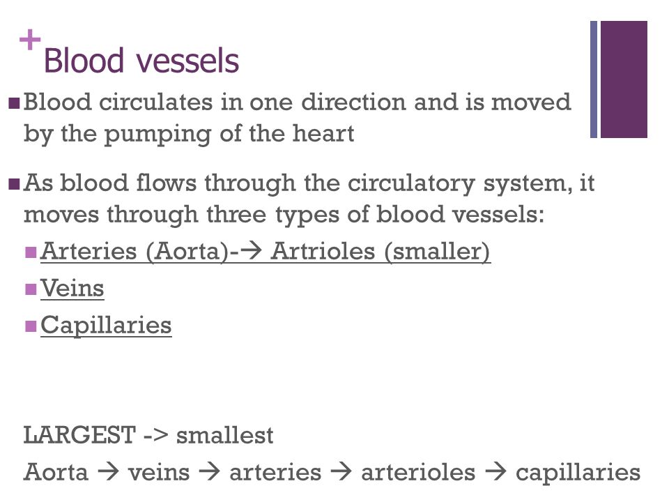 + Blood vessels Blood circulates in one direction and is moved by the pumping of the heart As blood flows through the circulatory system, it moves through three types of blood vessels: Arteries (Aorta)-  Artrioles (smaller) Veins Capillaries LARGEST -> smallest Aorta  veins  arteries  arterioles  capillaries