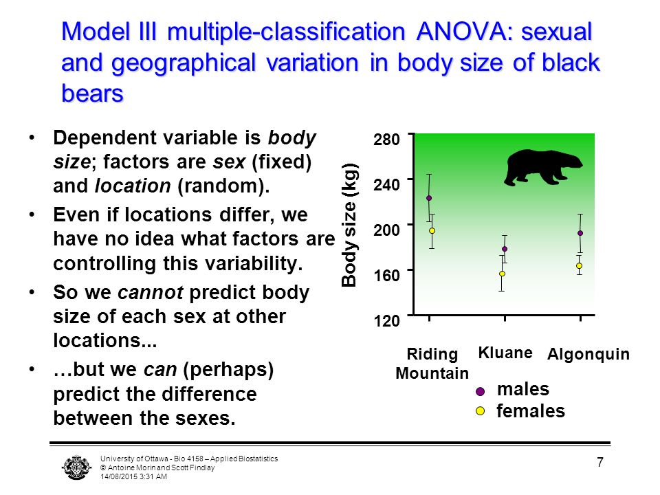 University of Ottawa - Bio 4158 – Applied Biostatistics © Antoine Morin and Scott Findlay 14/08/2015 3:33 AM 7 Model III multiple-classification ANOVA: sexual and geographical variation in body size of black bears Dependent variable is body size; factors are sex (fixed) and location (random).