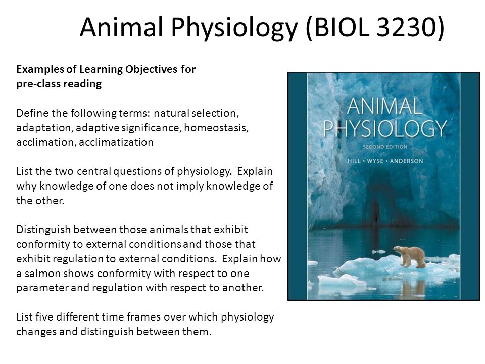 Team Based Learning in Animal Physiology Mary Kate Worden, PhD Dept of  Neuroscience, UVA SOM BIOL 3230 Fall students in 13 teams, including Megan.  - ppt download
