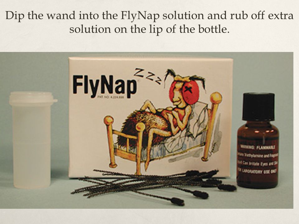 Dip the wand into the FlyNap solution and rub off extra solution on the lip of the bottle.