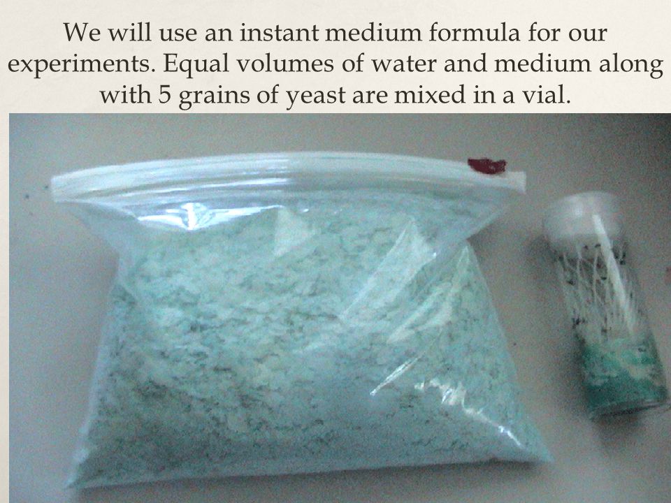 We will use an instant medium formula for our experiments.