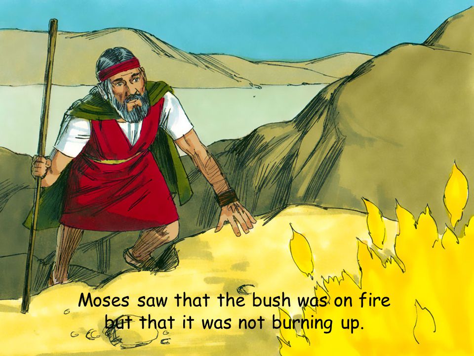 Moses saw that the bush was on fire but that it was not burning up.