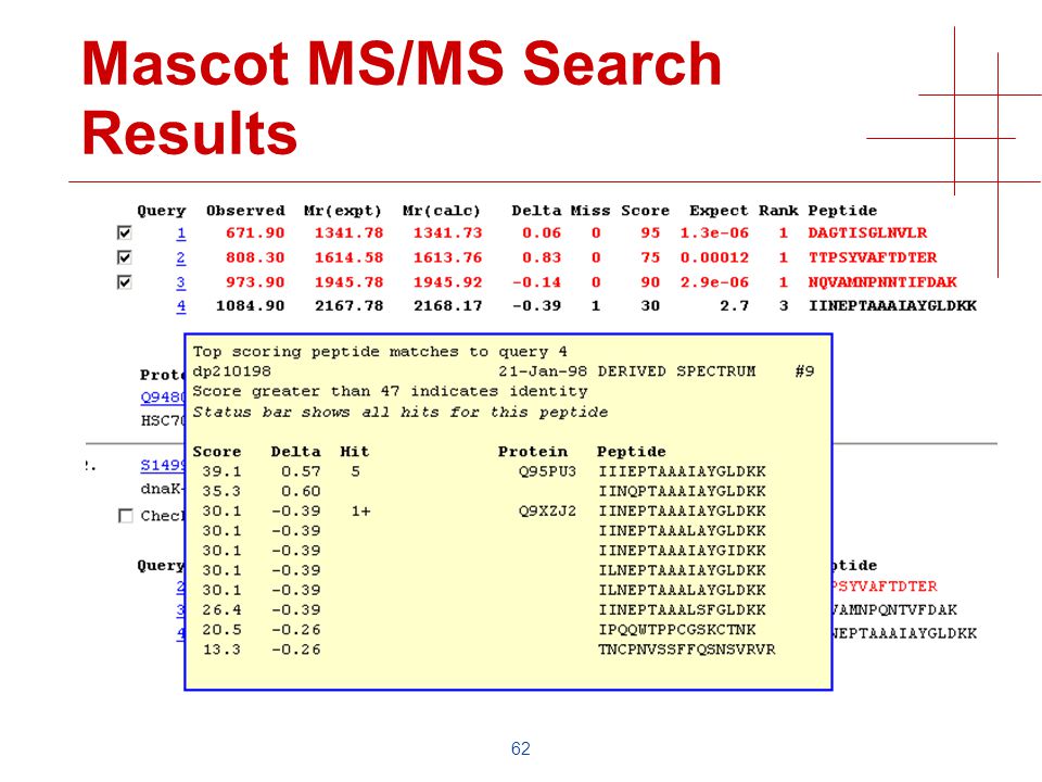 62 Mascot MS/MS Search Results