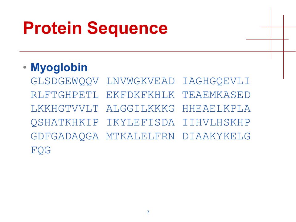 7 Protein Sequence Myoglobin GLSDGEWQQV LNVWGKVEAD IAGHGQEVLI RLFTGHPETL EKFDKFKHLK TEAEMKASED LKKHGTVVLT ALGGILKKKG HHEAELKPLA QSHATKHKIP IKYLEFISDA IIHVLHSKHP GDFGADAQGA MTKALELFRN DIAAKYKELG FQG