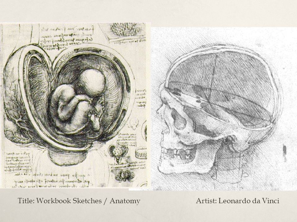 Title: Workbook Sketches / Anatomy Artist: Leonardo da Vinci