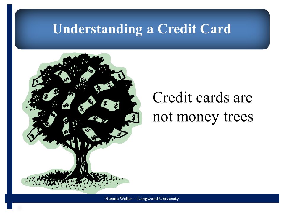 Bennie Waller – Longwood University Understanding a Credit Card Credit cards are not money trees