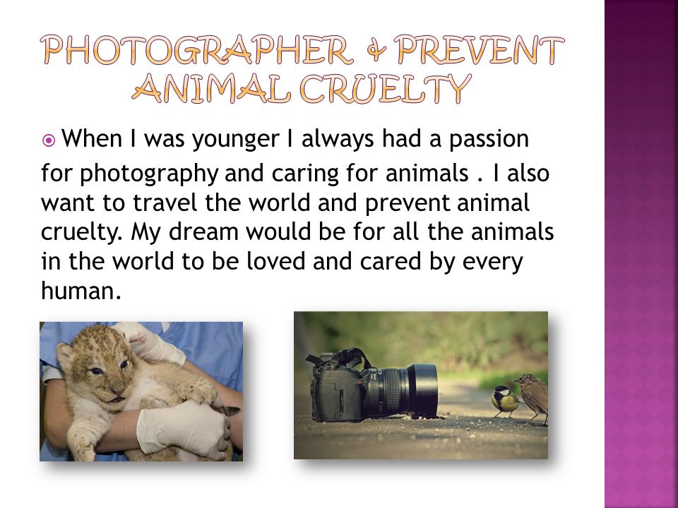  When I was younger I always had a passion for photography and caring for animals.