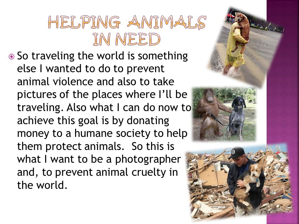  So traveling the world is something else I wanted to do to prevent animal violence and also to take pictures of the places where I’ll be traveling.
