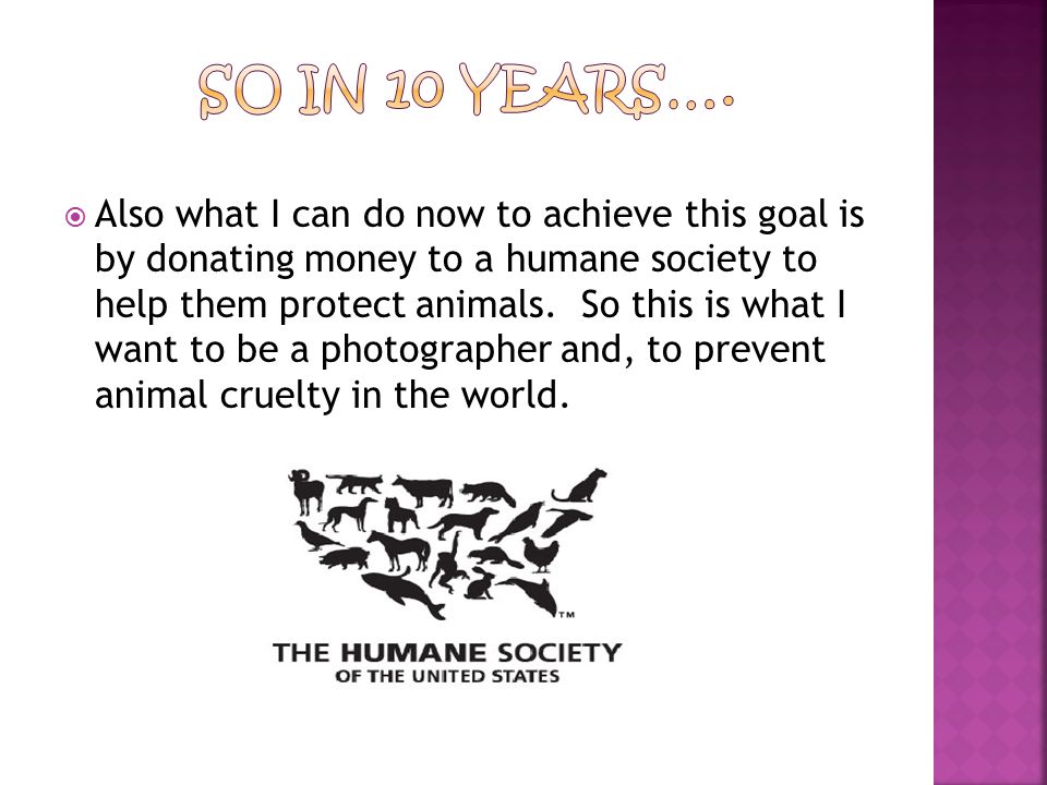  Also what I can do now to achieve this goal is by donating money to a humane society to help them protect animals.