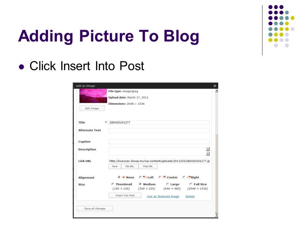 Adding Picture To Blog Click Insert Into Post