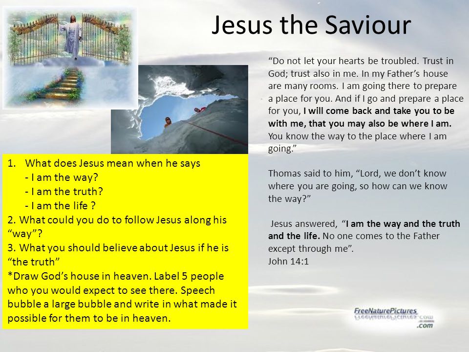 Jesus the Saviour Do not let your hearts be troubled.