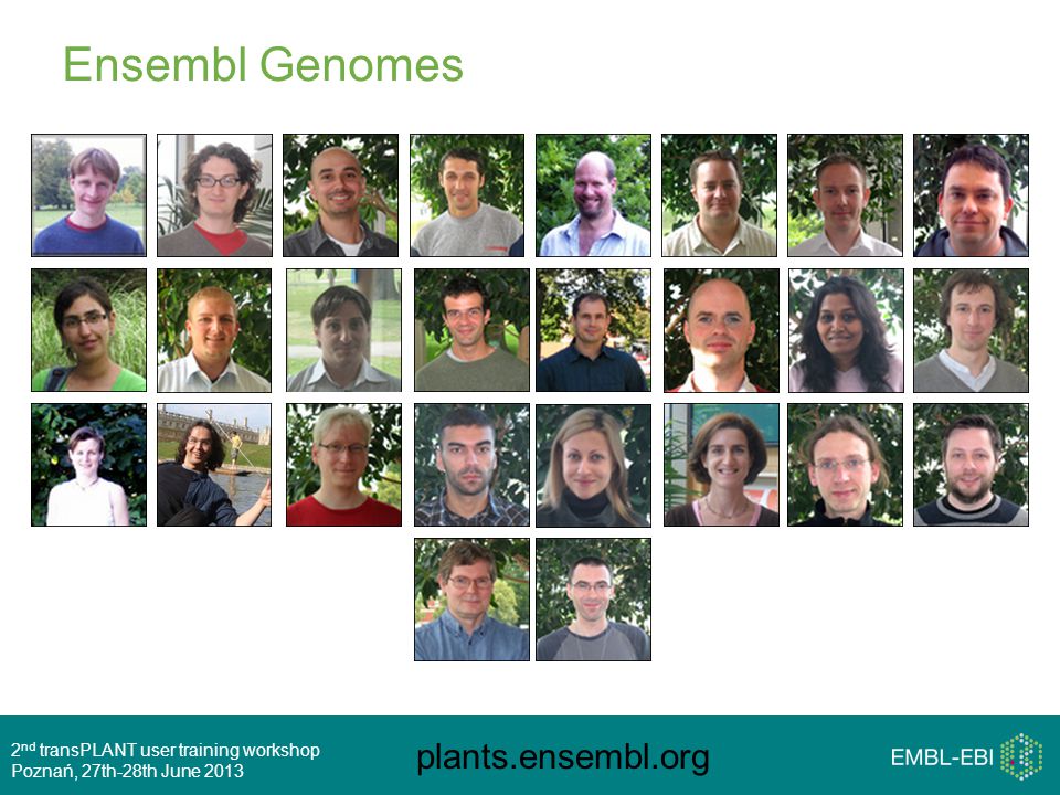 plants.ensembl.org 2 nd transPLANT user training workshop Poznań, 27th-28th June 2013 Ensembl Genomes