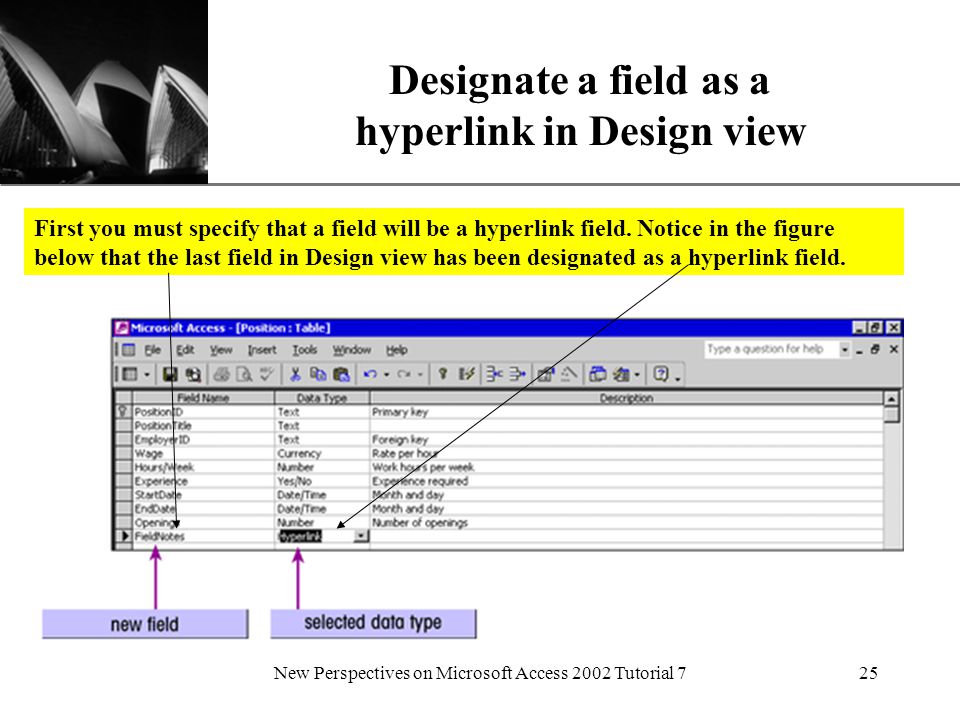 XP New Perspectives on Microsoft Access 2002 Tutorial 725 Designate a field as a hyperlink in Design view First you must specify that a field will be a hyperlink field.