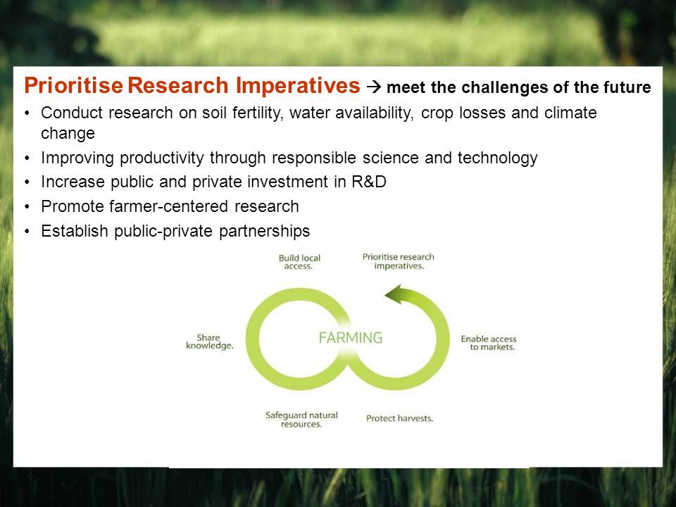 Prioritise Research Imperatives  meet the challenges of the future Conduct research on soil fertility, water availability, crop losses and climate change Improving productivity through responsible science and technology Increase public and private investment in R&D Promote farmer-centered research Establish public-private partnerships