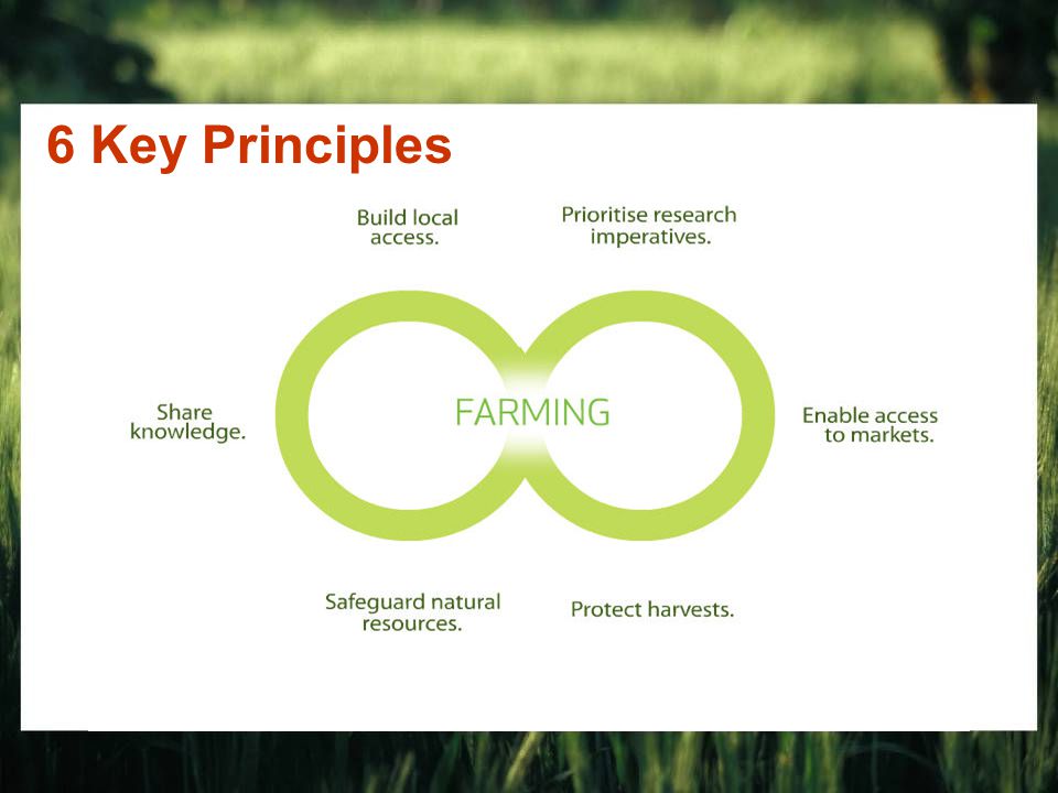 6 Key Principles
