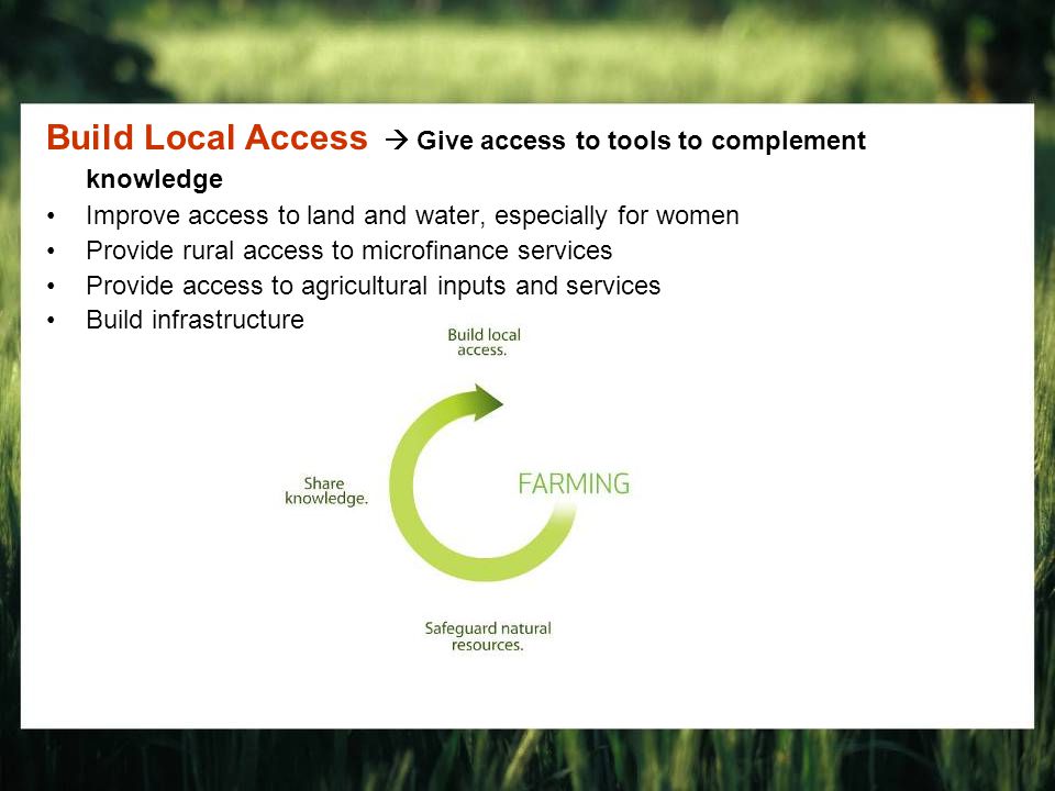 Build Local Access  Give access to tools to complement knowledge Improve access to land and water, especially for women Provide rural access to microfinance services Provide access to agricultural inputs and services Build infrastructure