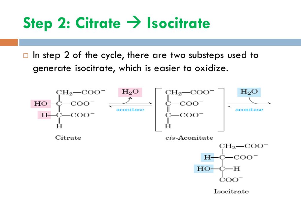 Step 2: Citrate  Isocitrate  In step 2 of the cycle, there are two substeps used to generate isocitrate, which is easier to oxidize.
