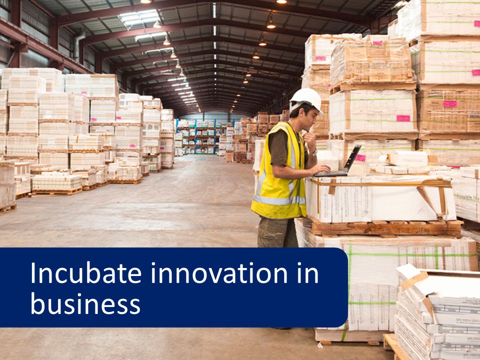 Incubate innovation in business