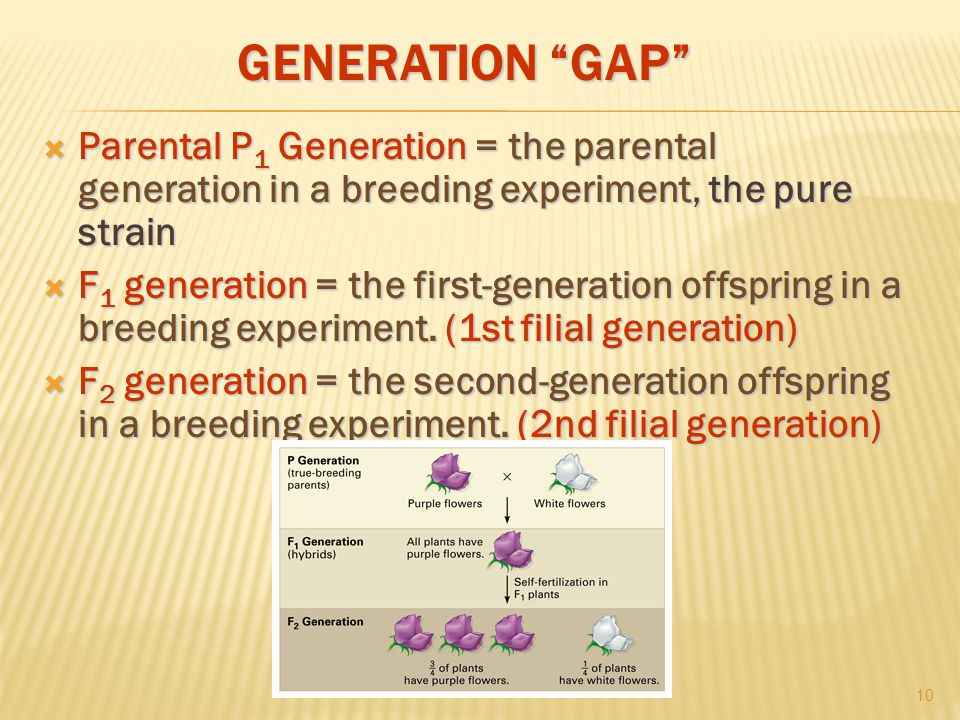 GENERATION GAP  Parental P 1 Generation = the parental generation in a breeding experiment, the pure strain  F 1 generation = the first-generation offspring in a breeding experiment.