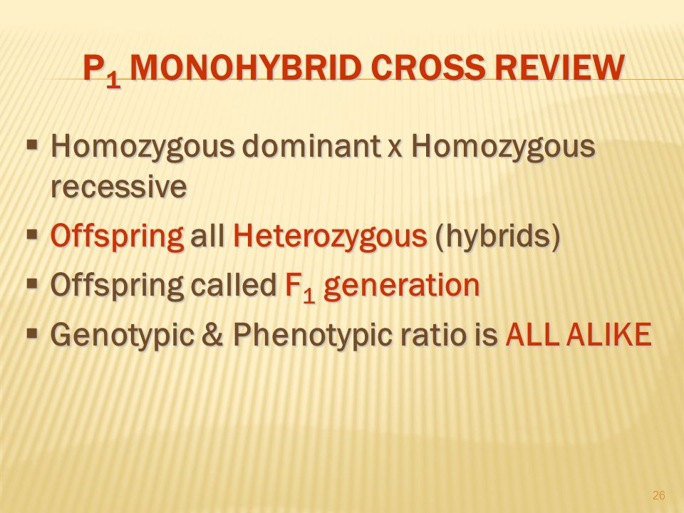 P 1 MONOHYBRID CROSS REVIEW  Homozygous dominant x Homozygous recessive  Offspring all Heterozygous (hybrids)  Offspring called F 1 generation  Genotypic & Phenotypic ratio is ALL ALIKE 26
