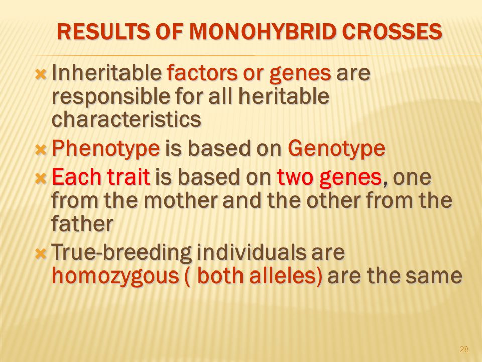 RESULTS OF MONOHYBRID CROSSES  Inheritable factors or genes are responsible for all heritable characteristics  Phenotype is based on Genotype  Each trait is based on two genes, one from the mother and the other from the father  True-breeding individuals are homozygous ( both alleles) are the same 28
