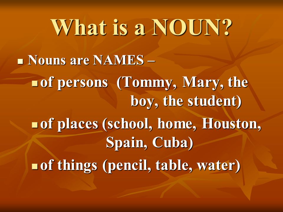 What is a NOUN.