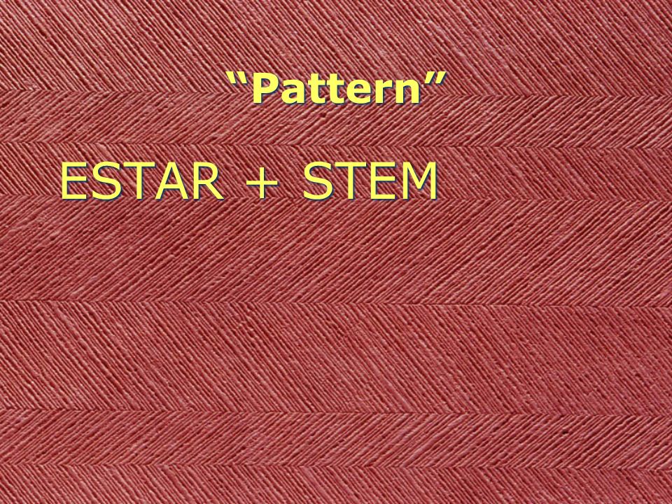 Pattern ESTAR + STEM