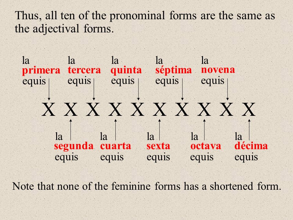 primera segunda tercera cuarta quinta sexta séptima octava novena décima la Note that none of the feminine forms has a shortened form.