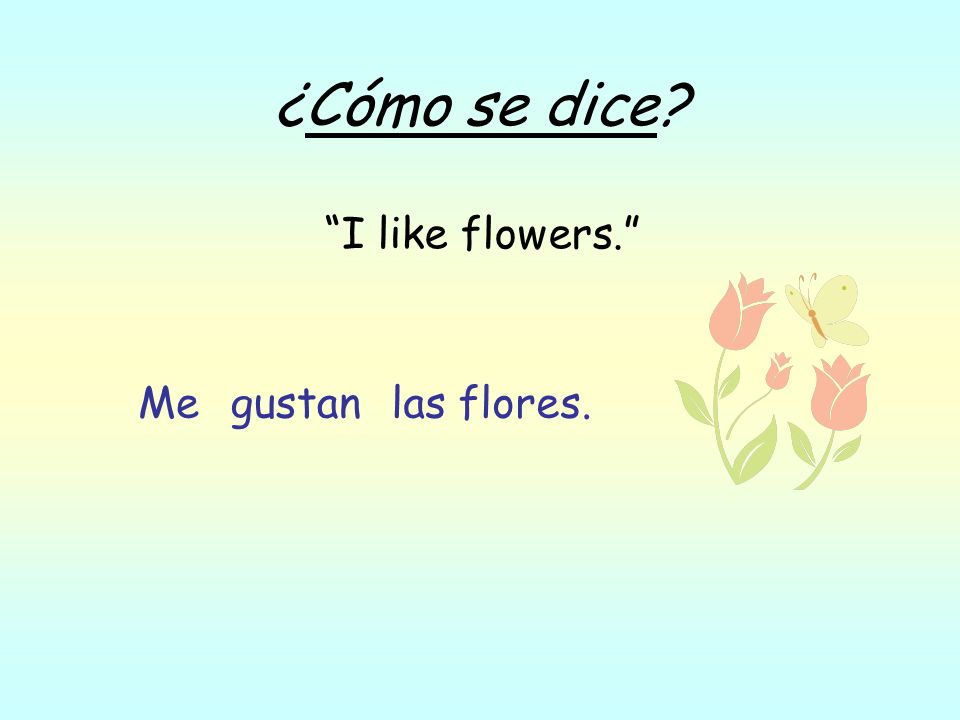 ¿Cómo se dice I like flowers. las flores.gustanMe