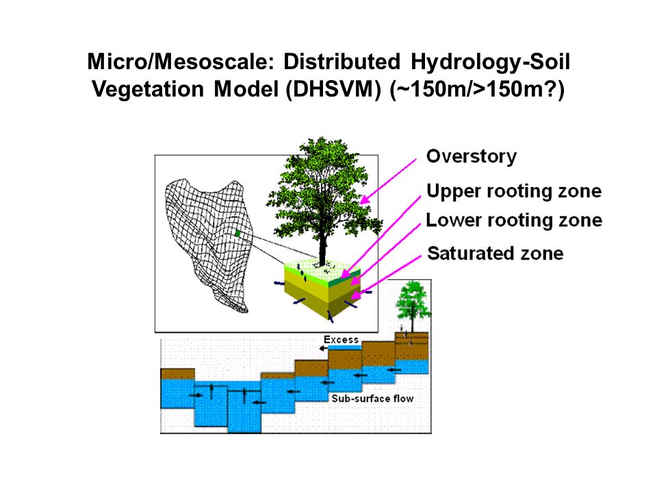 Micro/Mesoscale: Distributed Hydrology-Soil Vegetation Model (DHSVM) (~150m/>150m )