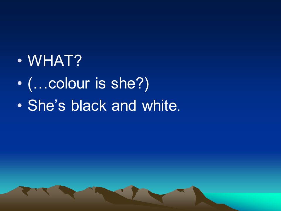 WHAT (…colour is she ) Shes black and white.