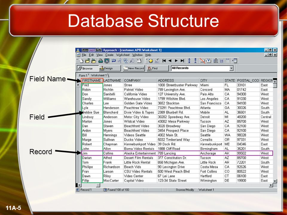 11A-5 Database Structure Field Name Record Field