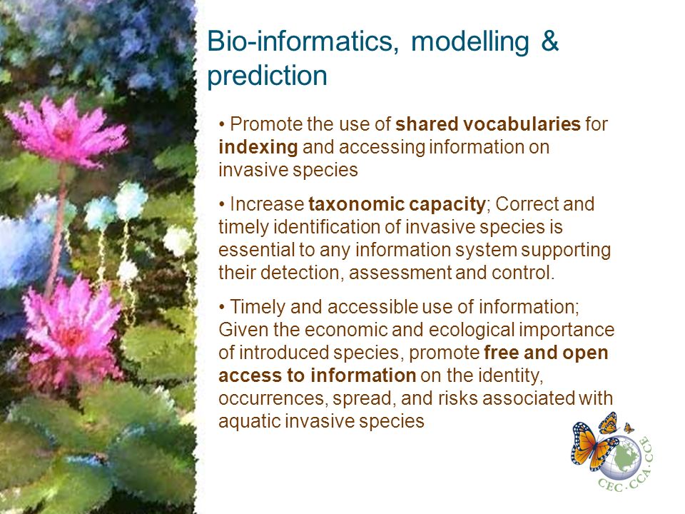 Bio-informatics, modelling & prediction Promote the use of shared vocabularies for indexing and accessing information on invasive species Increase taxonomic capacity; Correct and timely identification of invasive species is essential to any information system supporting their detection, assessment and control.
