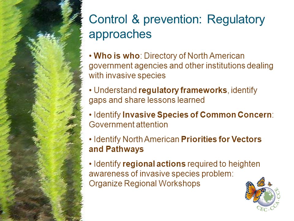 Control & prevention: Regulatory approaches Who is who: Directory of North American government agencies and other institutions dealing with invasive species Understand regulatory frameworks, identify gaps and share lessons learned Identify Invasive Species of Common Concern: Government attention Identify North American Priorities for Vectors and Pathways Identify regional actions required to heighten awareness of invasive species problem: Organize Regional Workshops