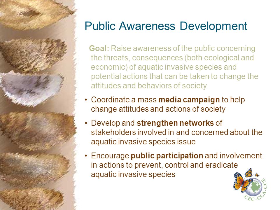 Public Awareness Development Goal: Raise awareness of the public concerning the threats, consequences (both ecological and economic) of aquatic invasive species and potential actions that can be taken to change the attitudes and behaviors of society Coordinate a mass media campaign to help change attitudes and actions of society Develop and strengthen networks of stakeholders involved in and concerned about the aquatic invasive species issue Encourage public participation and involvement in actions to prevent, control and eradicate aquatic invasive species