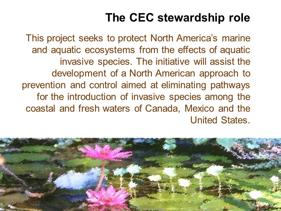 This project seeks to protect North Americas marine and aquatic ecosystems from the effects of aquatic invasive species.