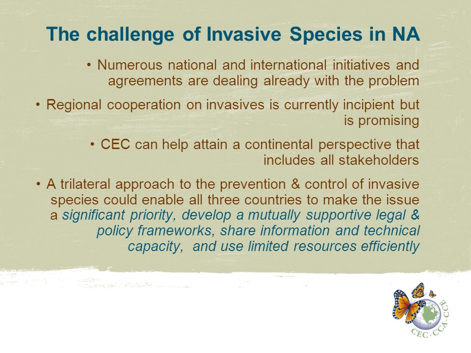 The challenge of Invasive Species in NA Numerous national and international initiatives and agreements are dealing already with the problem Regional cooperation on invasives is currently incipient but is promising CEC can help attain a continental perspective that includes all stakeholders A trilateral approach to the prevention & control of invasive species could enable all three countries to make the issue a significant priority, develop a mutually supportive legal & policy frameworks, share information and technical capacity, and use limited resources efficiently