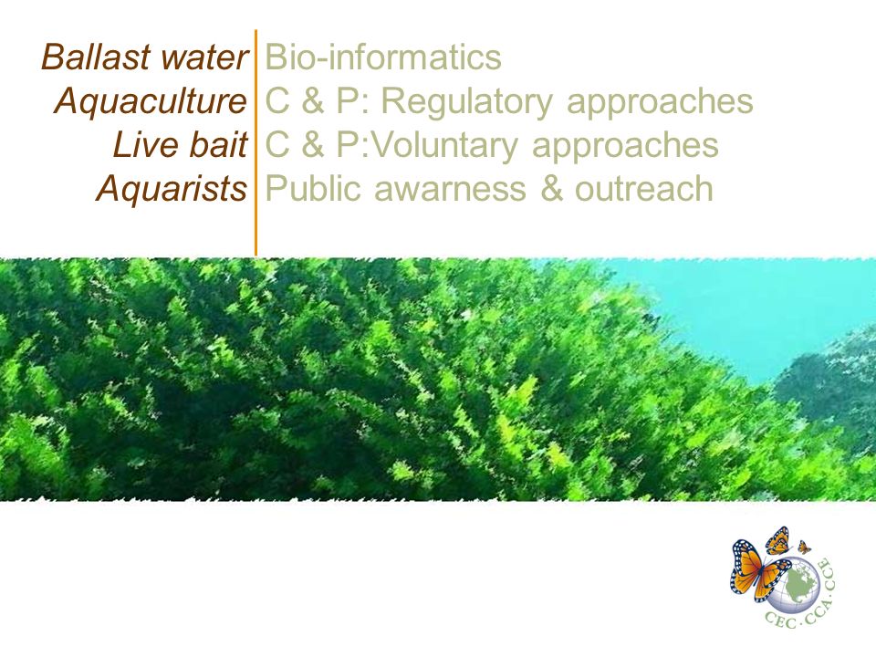 Ballast water Aquaculture Live bait Aquarists Bio-informatics C & P: Regulatory approaches C & P:Voluntary approaches Public awarness & outreach