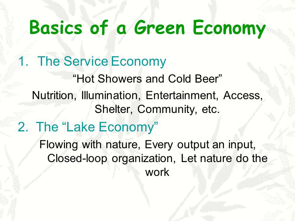 Basics of a Green Economy 1.The Service Economy Hot Showers and Cold Beer Nutrition, Illumination, Entertainment, Access, Shelter, Community, etc.