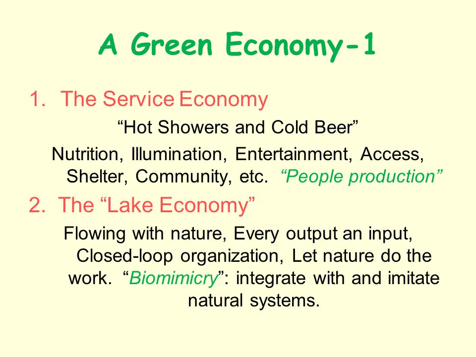 A Green Economy-1 1.The Service Economy Hot Showers and Cold Beer Nutrition, Illumination, Entertainment, Access, Shelter, Community, etc.