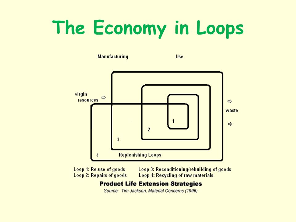 The Economy in Loops