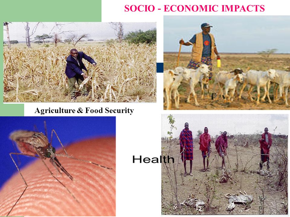 5 Agriculture & Food Security SOCIO - ECONOMIC IMPACTS