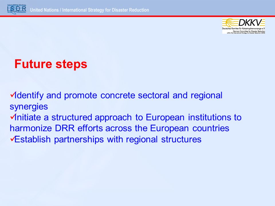 Identify and promote concrete sectoral and regional synergies Initiate a structured approach to European institutions to harmonize DRR efforts across the European countries Establish partnerships with regional structures Future steps