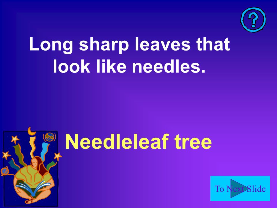 To Next Slide Needleleaf tree Long sharp leaves that look like needles.