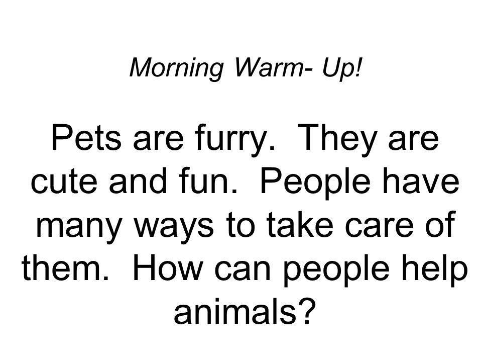 Morning Warm- Up. Pets are furry. They are cute and fun.