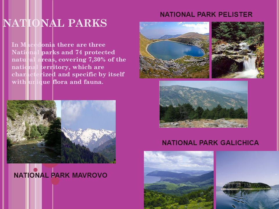 NATIONAL PARKS In Macedonia there are three National parks and 74 protected natural areas, covering 7,30% of the national territory, which are characterized and specific by itself with unique flora and fauna.