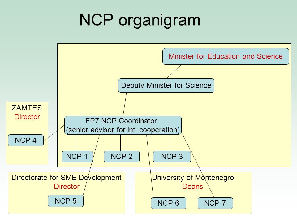 NCP organigram Minister for Education and Science Deputy Minister for Science FP7 NCP Coordinator (senior advisor for int.
